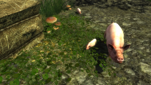 Skyrim 13.03.2026 19_57_26