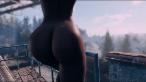 Попка. Fallout-4 (Сборка 11)