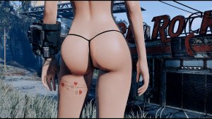 ... Fallout-4 (Сборка 11)