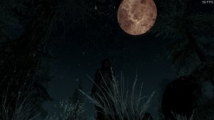 Моя сборка Скайрим