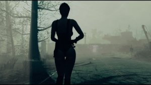 Силуэт. Fallout-4 (Сборка 11)