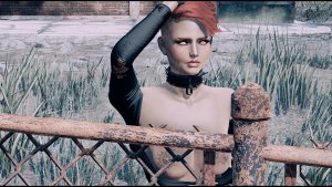 Забор.. Fallout-4 (Сборка 11)