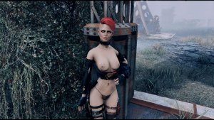 ... Fallout-4 (Сборка 11)