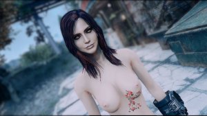 На участке.. Fallout-4 (Сборка 11)