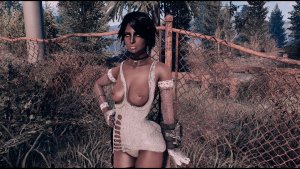 У забора. Fallout-4 (Сборка 11)