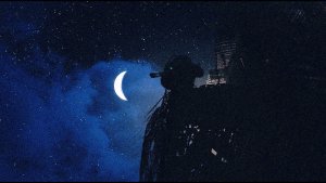 Ночной пейзаж. Fallout-4 (Сборка 11)