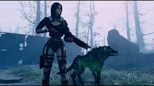 Прирученный волк. Fallout-4 (Сборка 11)