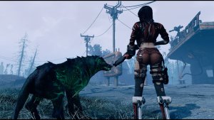 Клэр приручила волка-мутанта. Fallout-4 (Сборка 11)