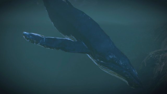 The Witcher 3 Screenshot 2025.05.24 - 21.54.43.56.jpg