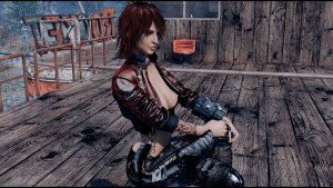 Nel. Fallout-4 (Сборка 11)