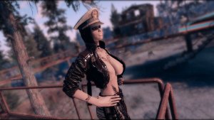 Присматривается. Fallout-4 (Сборка 11)